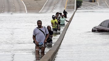 Freedom Rider: Hurricanes and Capitalism