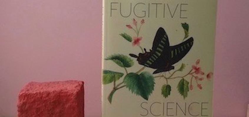 BAR Book Forum: Britt Rusert’s “Fugitive Science”