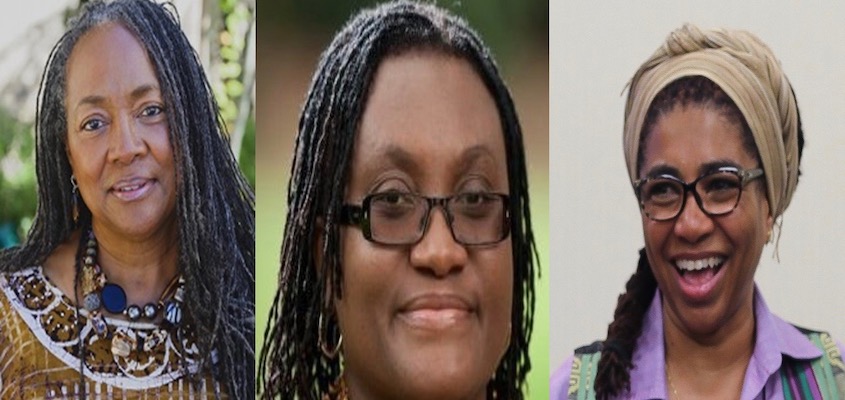 BAR Book Forum: Cheryl R. Rodriguez, Dzodzi Tsikata, and Akosua Adomako Ampofo’s “Transatlantic Feminisms”