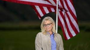 Liberals Love Liz Cheney