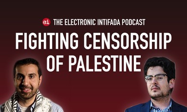 Palestine, Censorship, and Punishment