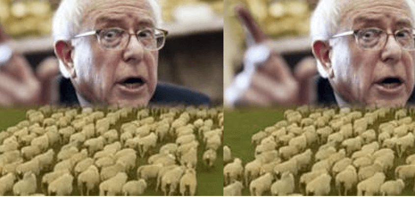 Robert F. Kennedy Jr.:  Sheepdogging and Liberal Fantasy