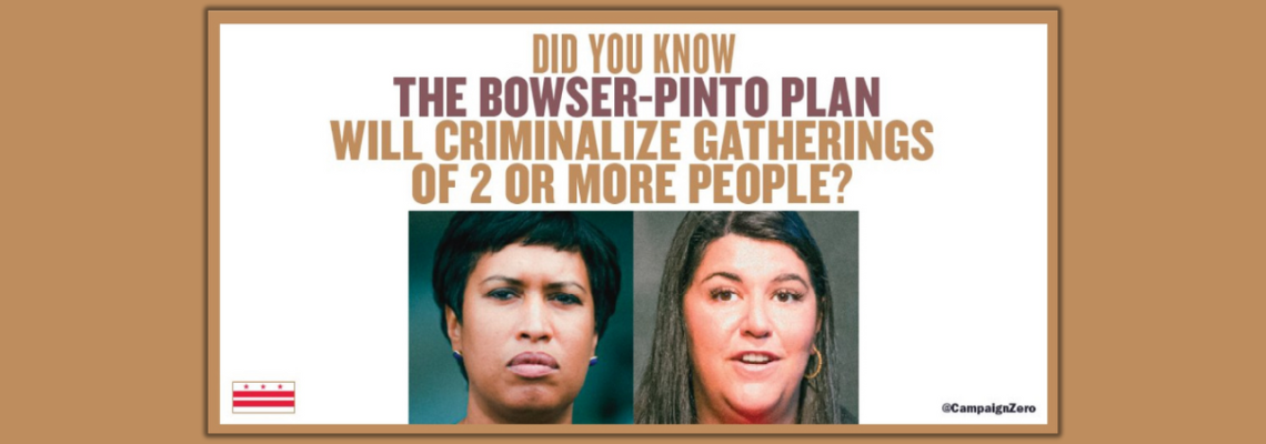 Bowser-Pinto Plan