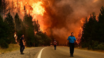Patagonia Forest Fires Reveal Imperialist Theft of Protected Lands