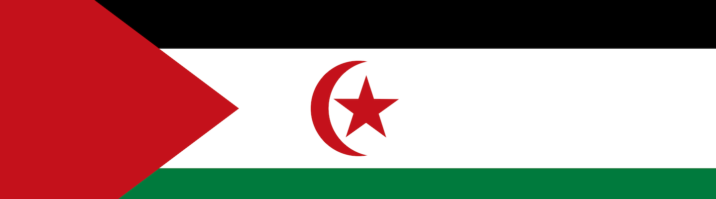 STATEMENT: Question of Western Sahara, Tinguiri Mansour Omar, 1979