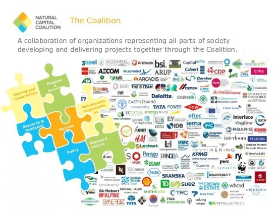 natural capital partners