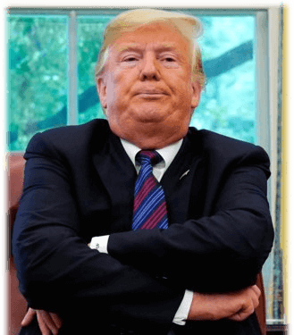 the donald