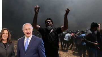 Deafening Silence of Democrats on Gaza Massacre Is Because It's Their Baby Too