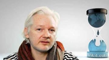 UN Rapporteur on Torture Says Assange Could Die in Prison