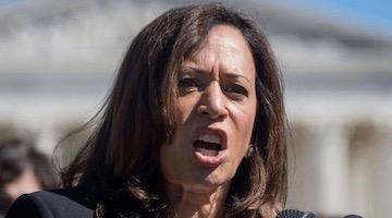 Kamala Harris is the Face of the Democratic Party’s Protest Campaign against Bernie Sanders