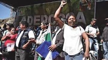 Black Bolivia and the Socialist Electoral Triumph