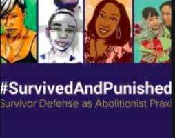 Police, Prisons and Prosecutors just Create More Victims