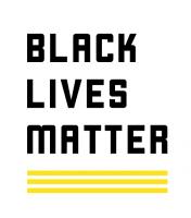 Hide Nothing From The Masses: An Insider Perspective in the Black Lives Matter Global Network Sham