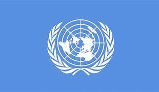 "Well of Solutions" or Problems: Why Reforming the UN is Critical
