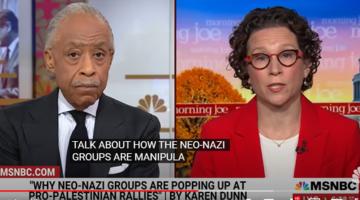 Al Sharpton interview on MSNBC