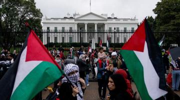 Protest for Palestine at the White House